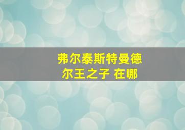 弗尔泰斯特曼德尔王之子 在哪